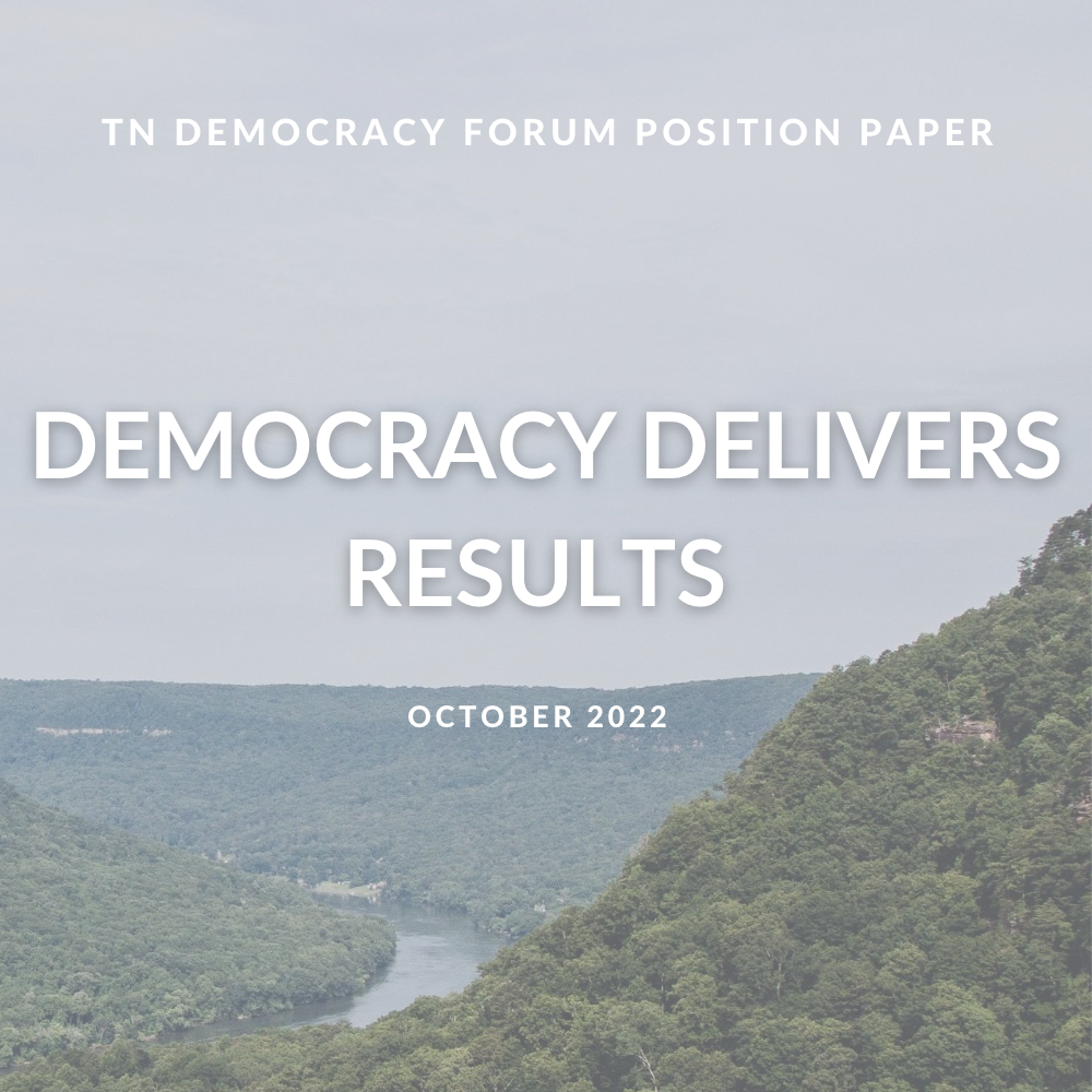 TN DEMOCRACY FORUM POSITION PAPER
